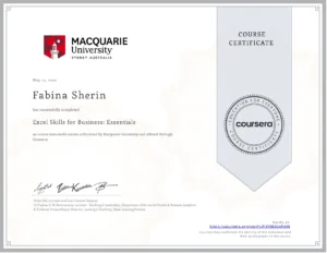 Mastering excel course certification from Coursera