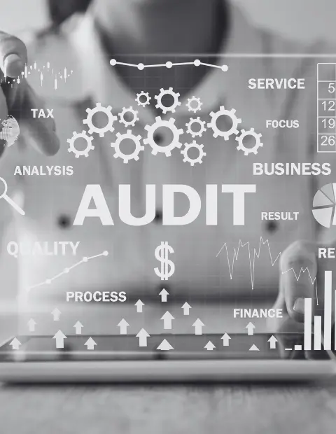 Seo website audit services